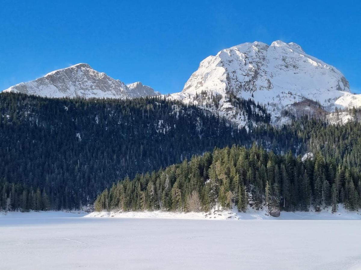 Black Lake Chalet Žabljak 外观 照片