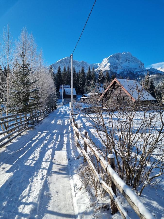 Black Lake Chalet Žabljak 外观 照片