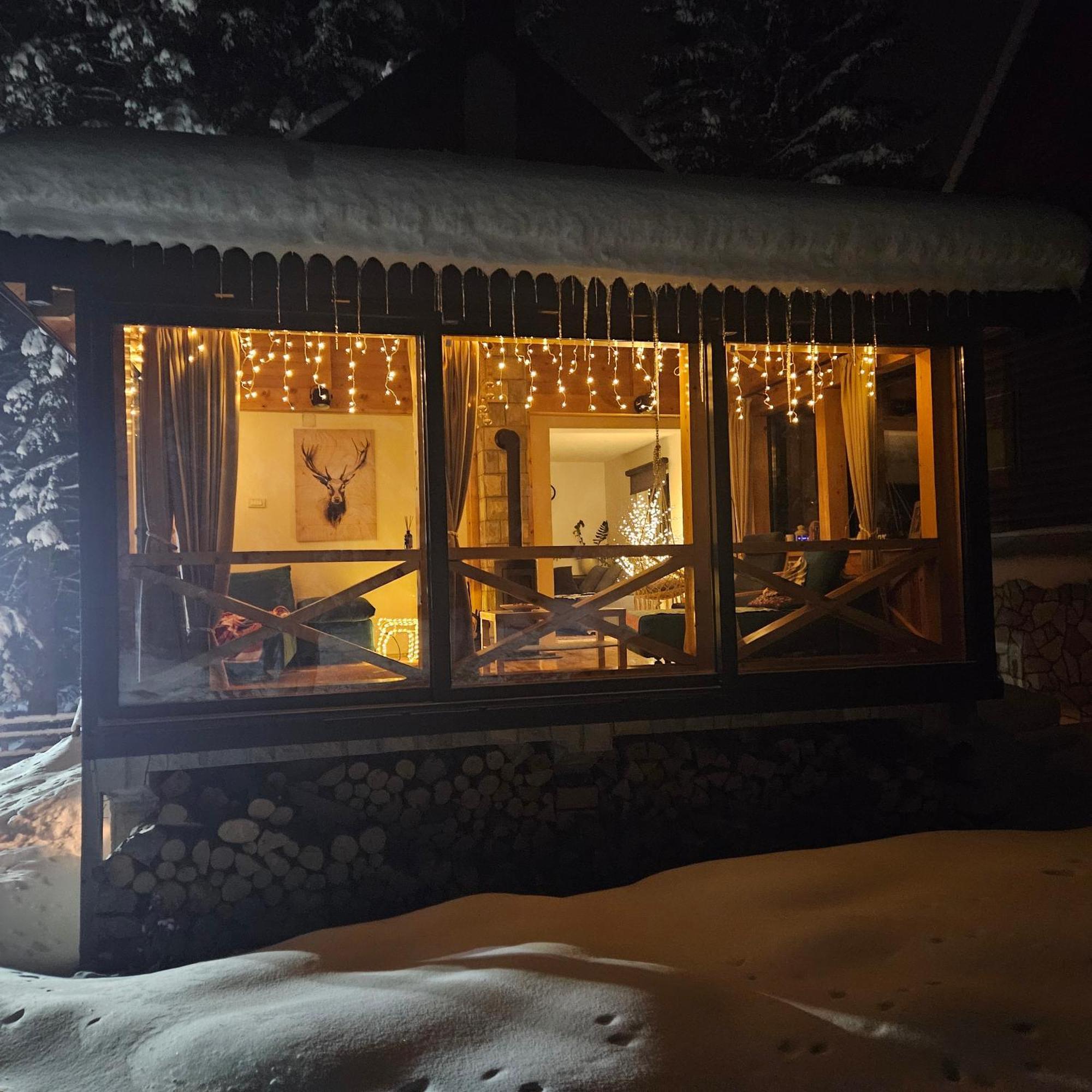 Black Lake Chalet Žabljak 外观 照片