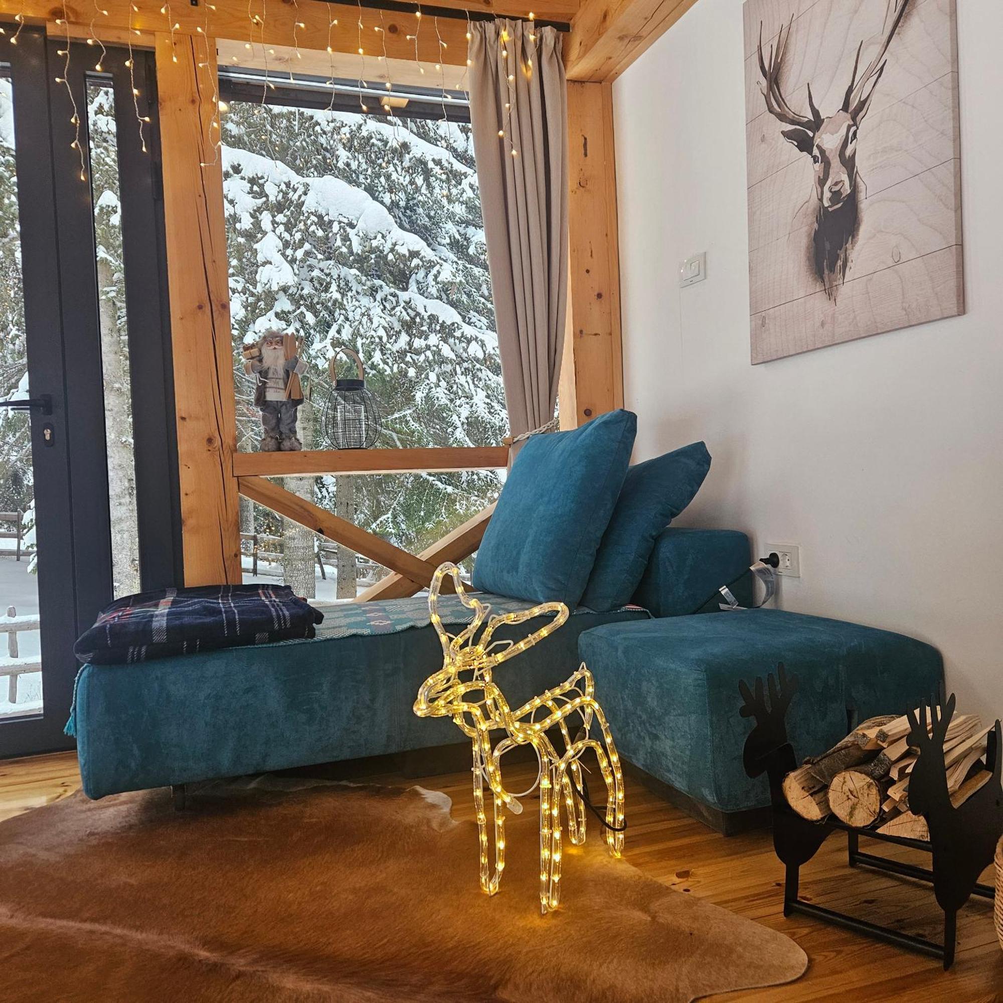 Black Lake Chalet Žabljak 外观 照片